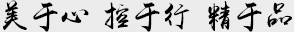 美于心，控于行，精于品